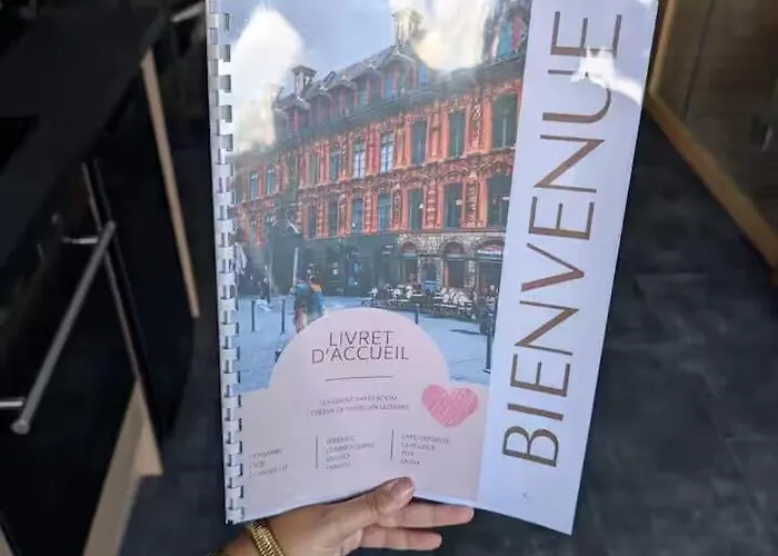 3 Uniques - 1 Avec Sauna Balnéo - Parking Privé Inclus * Lezennes